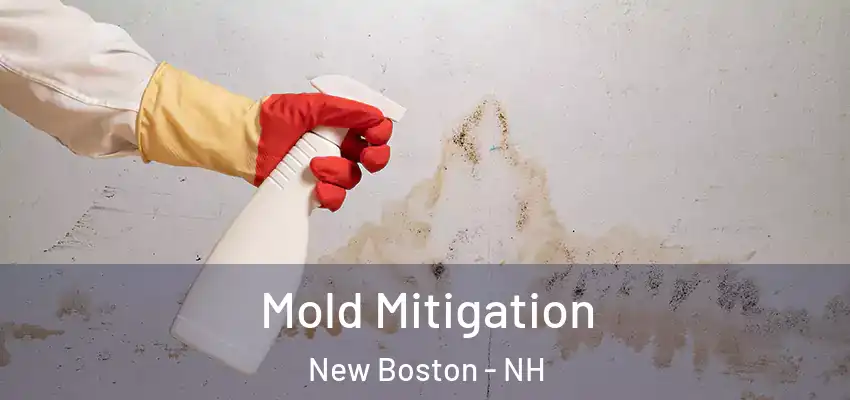  Mold Mitigation New Boston - NH