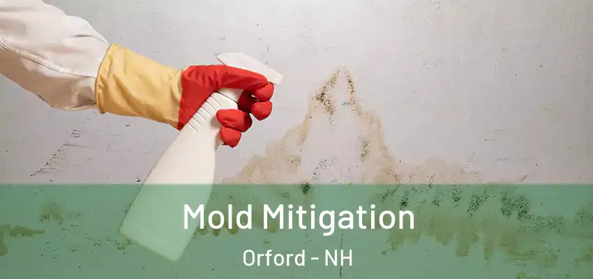  Mold Mitigation Orford - NH