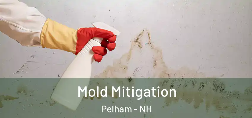 Mold Mitigation Pelham - NH