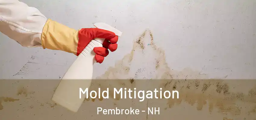  Mold Mitigation Pembroke - NH