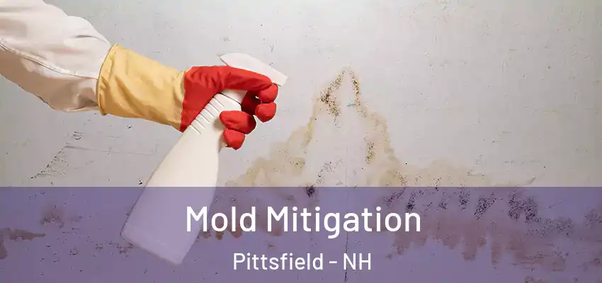  Mold Mitigation Pittsfield - NH