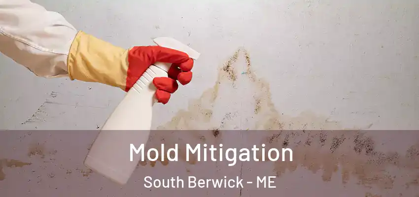  Mold Mitigation South Berwick - ME