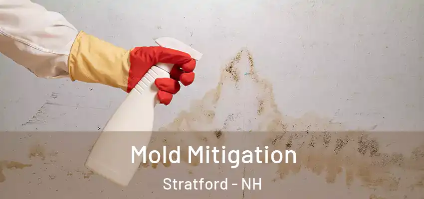  Mold Mitigation Stratford - NH