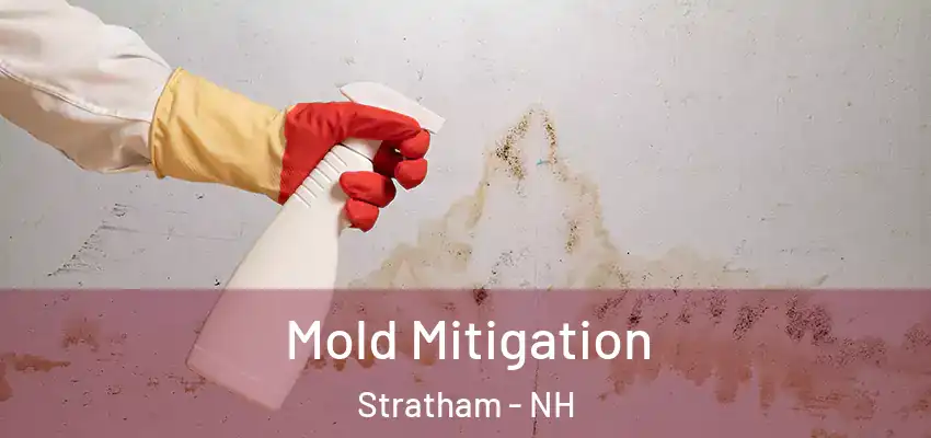Mold Mitigation Stratham - NH