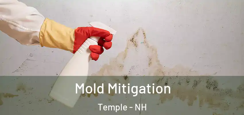 Mold Mitigation Temple - NH