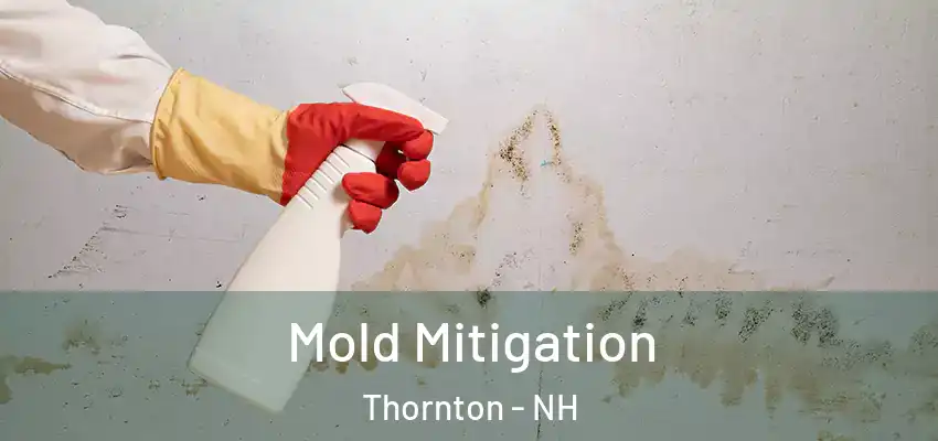  Mold Mitigation Thornton - NH