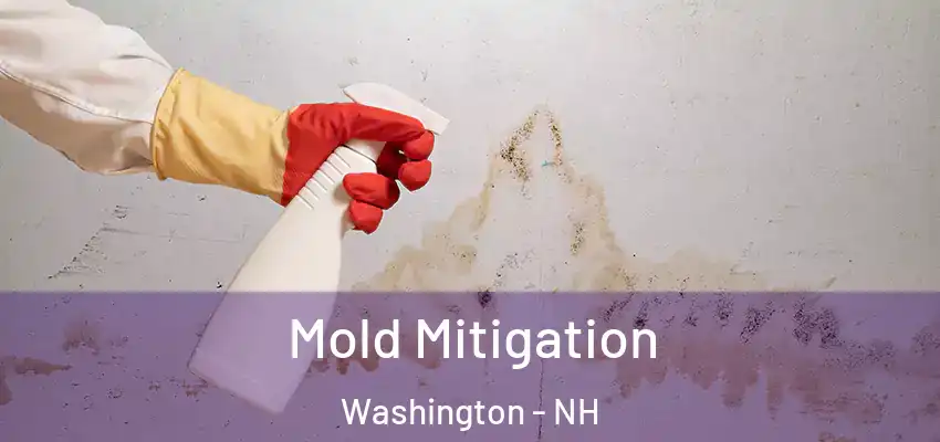 Mold Mitigation Washington - NH