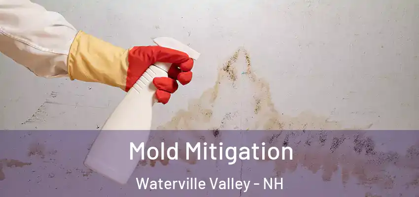  Mold Mitigation Waterville Valley - NH