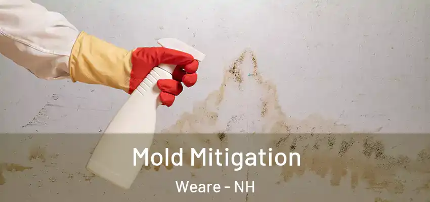  Mold Mitigation Weare - NH