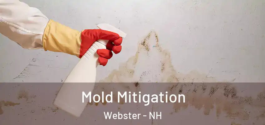 Mold Mitigation Webster - NH
