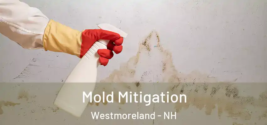  Mold Mitigation Westmoreland - NH