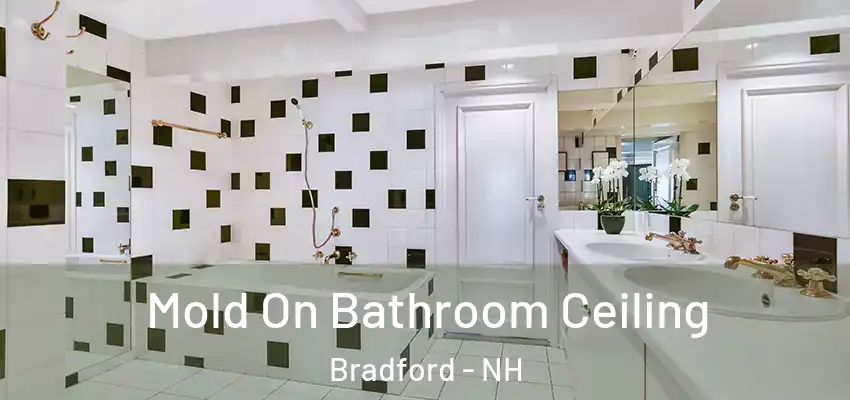  Mold On Bathroom Ceiling Bradford - NH