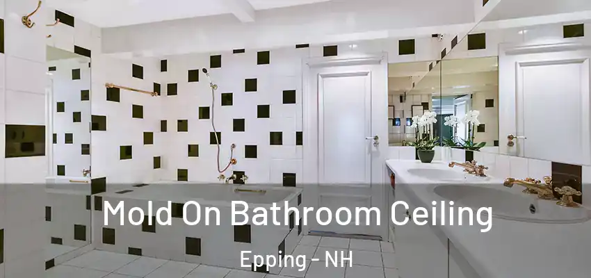 Mold On Bathroom Ceiling Epping - NH