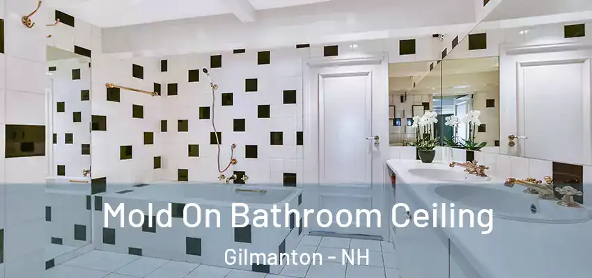  Mold On Bathroom Ceiling Gilmanton - NH
