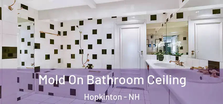  Mold On Bathroom Ceiling Hopkinton - NH