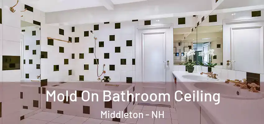 Mold On Bathroom Ceiling Middleton - NH