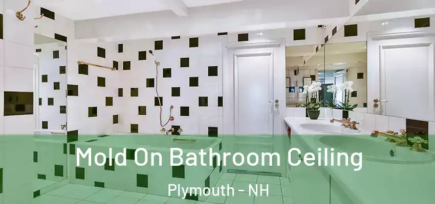  Mold On Bathroom Ceiling Plymouth - NH