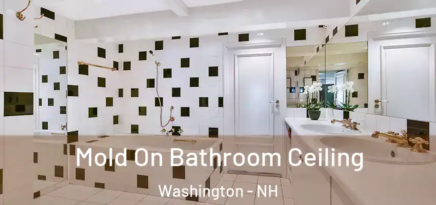 Mold On Bathroom Ceiling Washington - NH