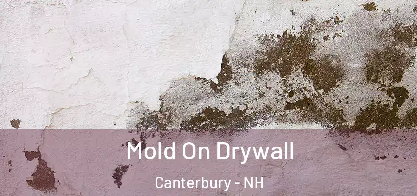  Mold On Drywall Canterbury - NH