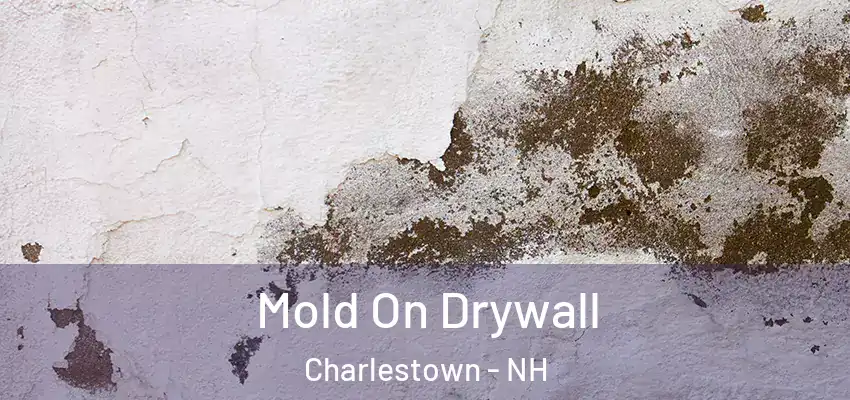  Mold On Drywall Charlestown - NH