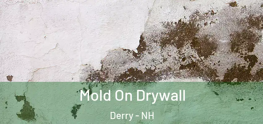  Mold On Drywall Derry - NH
