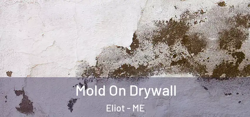 Mold On Drywall Eliot - ME