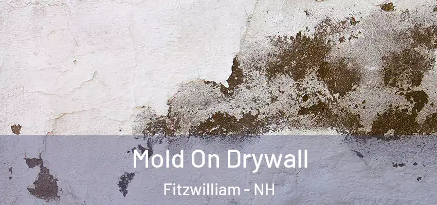  Mold On Drywall Fitzwilliam - NH
