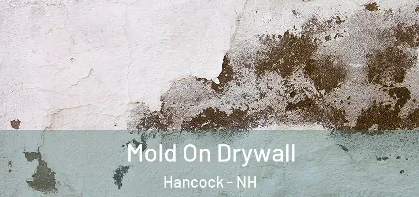 Mold On Drywall Hancock - NH