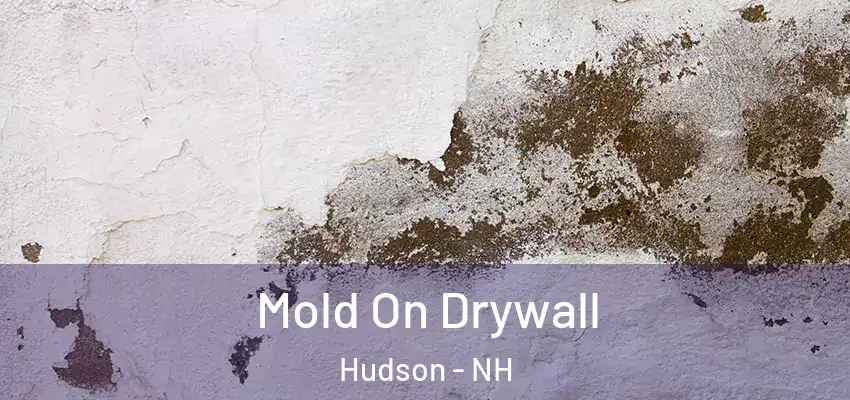Mold On Drywall Hudson - NH