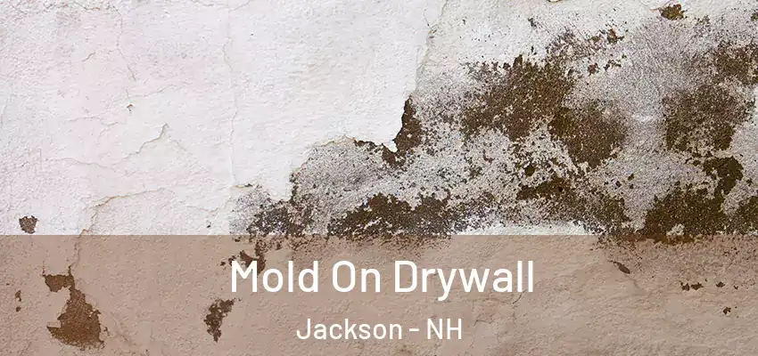  Mold On Drywall Jackson - NH