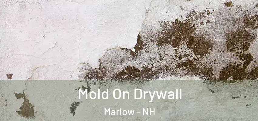 Mold On Drywall Marlow - NH