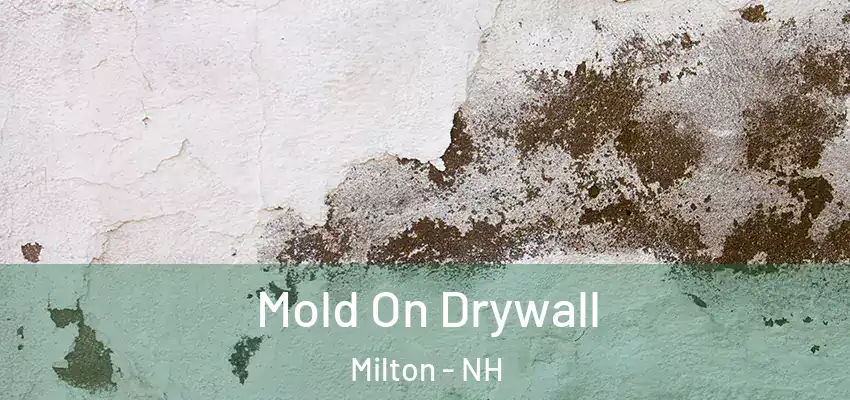 Mold On Drywall Milton - NH