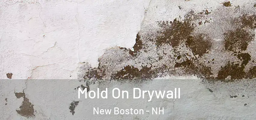  Mold On Drywall New Boston - NH