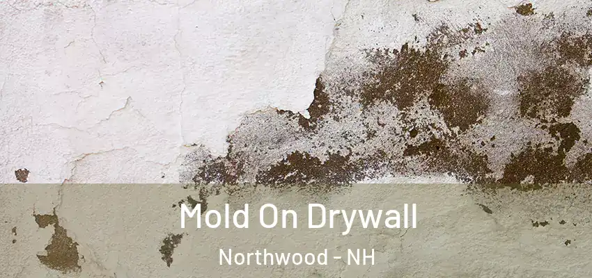  Mold On Drywall Northwood - NH