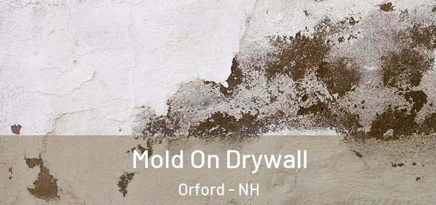  Mold On Drywall Orford - NH