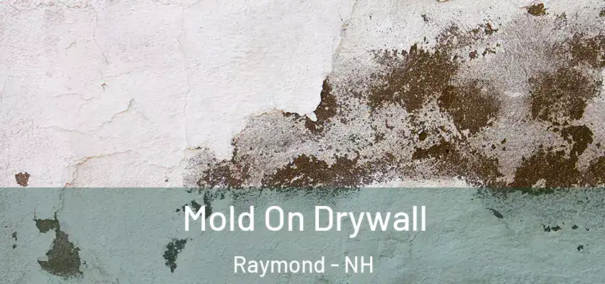 Mold On Drywall Raymond - NH