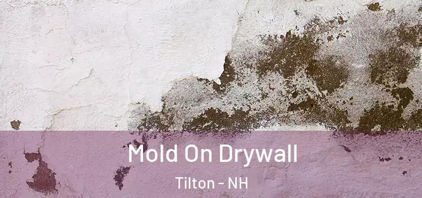  Mold On Drywall Tilton - NH