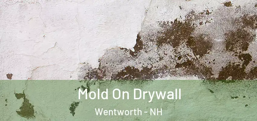  Mold On Drywall Wentworth - NH