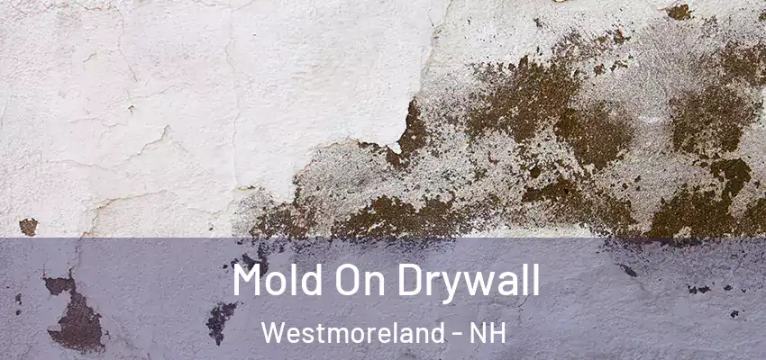 Mold On Drywall Westmoreland - NH