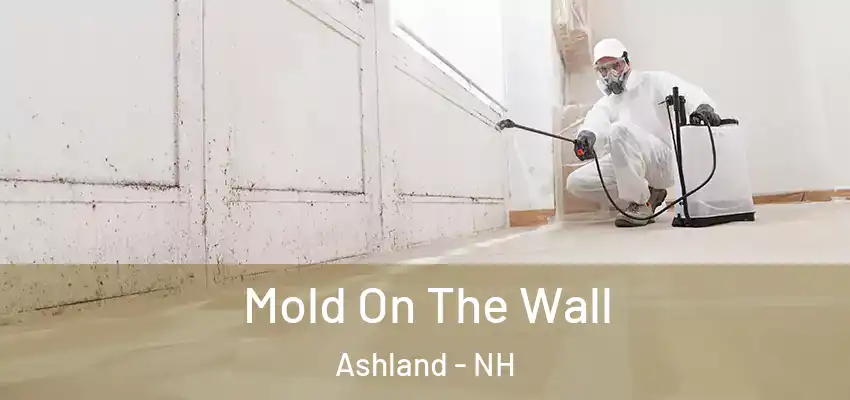 Mold On The Wall Ashland - NH