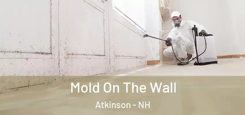  Mold On The Wall Atkinson - NH