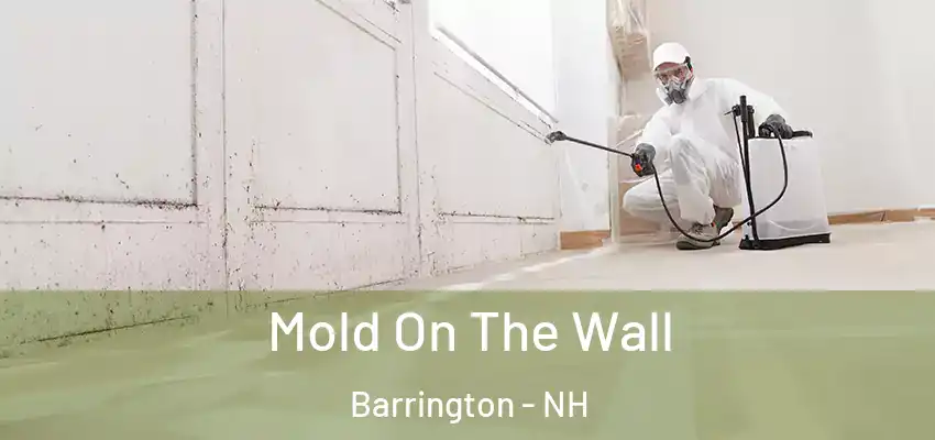  Mold On The Wall Barrington - NH