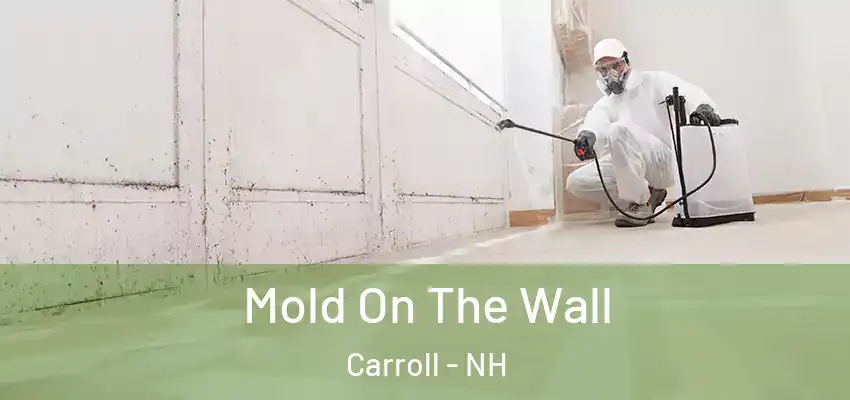  Mold On The Wall Carroll - NH