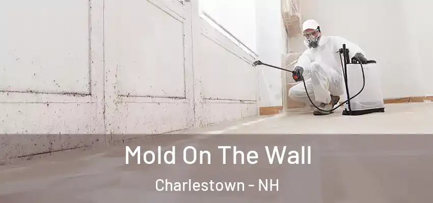  Mold On The Wall Charlestown - NH