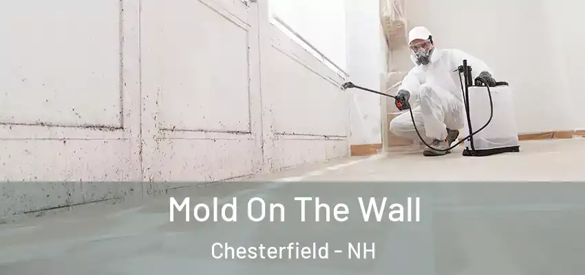  Mold On The Wall Chesterfield - NH