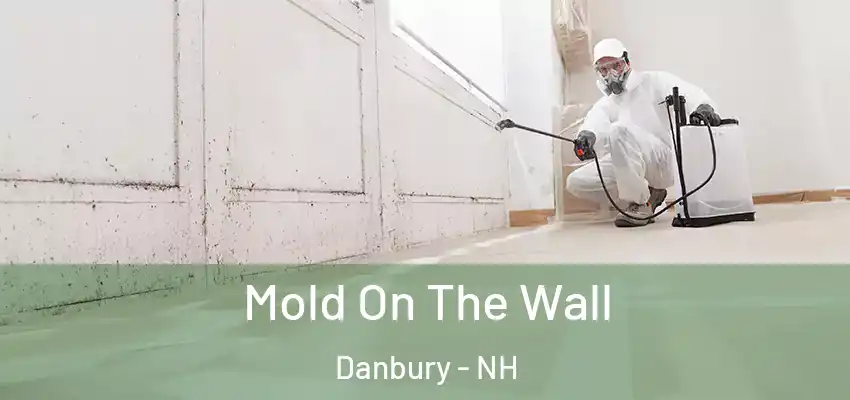  Mold On The Wall Danbury - NH