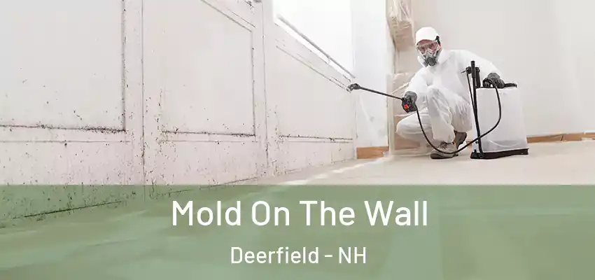  Mold On The Wall Deerfield - NH