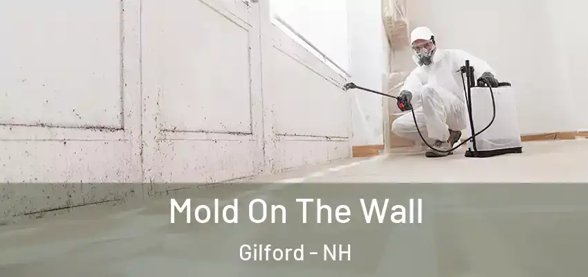  Mold On The Wall Gilford - NH