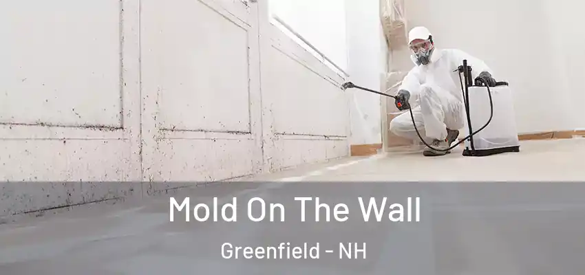  Mold On The Wall Greenfield - NH