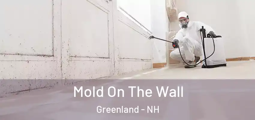  Mold On The Wall Greenland - NH